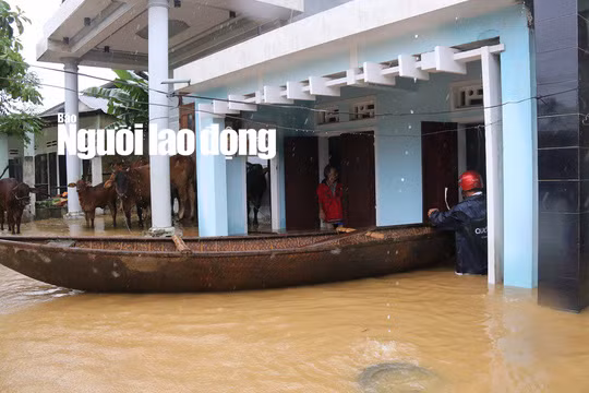  Nhiều vùng ở tỉnh Quảng Nam bị ngập nặng