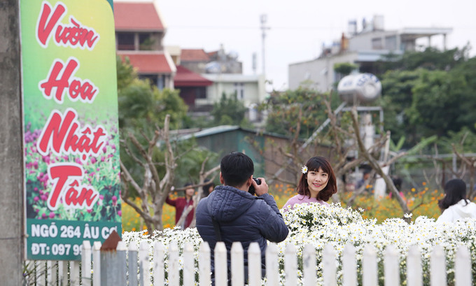 Những mảnh vườn rộng hàng trăm mét vuông được tận dụng trồng hoa và nhiều dịch vụ đi kèm. Khách vào vườn phải mua vé giá 20.000 đến 50.000 đồng.