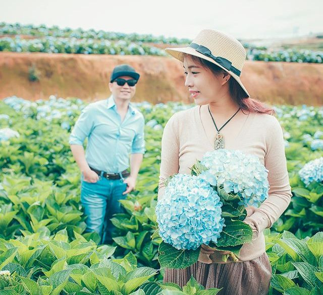 Cũng chính vì câu chuyện này, rất nhiều cặp đôi đã chọn khung cảnh lãng mạn tại vườn hoa cẩm tú cầu để chụp ảnh cưới. Đặc biệt, nếu chụp từ trên cao, ai cũng sẽ sửng sốt với khung cảnh không khác gì châu Âu. Cả một cánh đồng hoa rộng lớn trải dài, lung linh dưới ánh nắng. Ảnh: thanhngacosmetics Cũng chính vì câu chuyện này, rất nhiều cặp đôi đã chọn khung cảnh lãng mạn tại vườn hoa cẩm tú cầu để chụp ảnh cưới. Đặc biệt, nếu chụp từ trên cao, ai cũng sẽ sửng sốt với khung cảnh không khác gì châu Âu. Cả một cánh đồng hoa rộng lớn trải dài, lung linh dưới ánh nắng. Ảnh: thanhngacosmetics