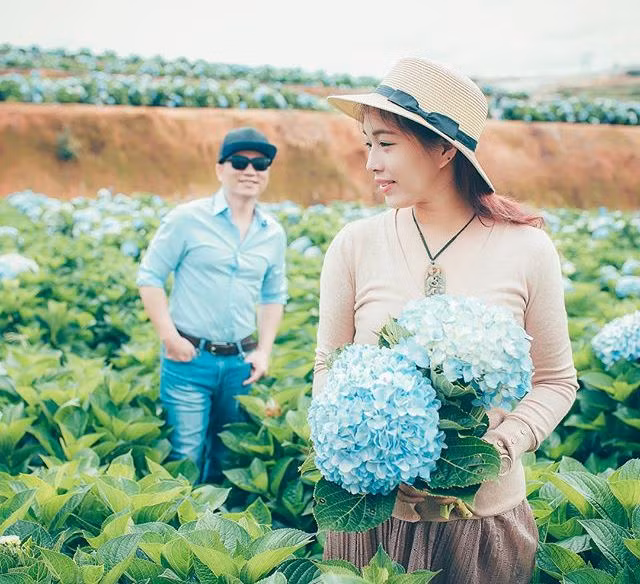 Cũng chính vì câu chuyện này, rất nhiều cặp đôi đã chọn khung cảnh lãng mạn tại vườn hoa cẩm tú cầu để chụp ảnh cưới. Đặc biệt, nếu chụp từ trên cao, ai cũng sẽ sửng sốt với khung cảnh không khác gì châu Âu. Cả một cánh đồng hoa rộng lớn trải dài, lung linh dưới ánh nắng. Ảnh: thanhngacosmetics