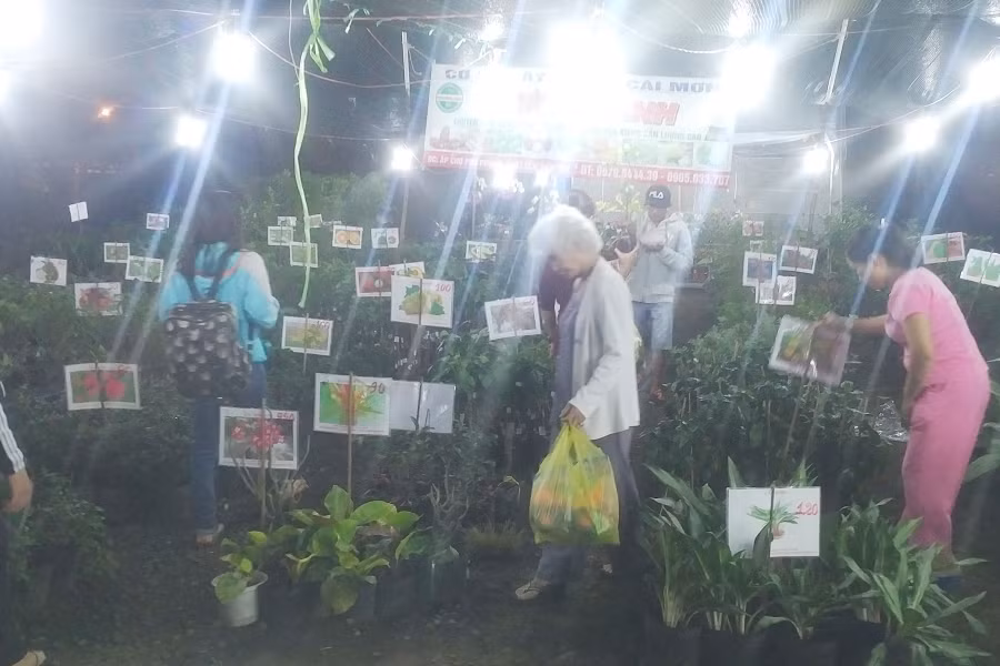 Các giống nông sản nổi tiếng miền Nam được nhiều người chọn mua. Ảnh: Q.H