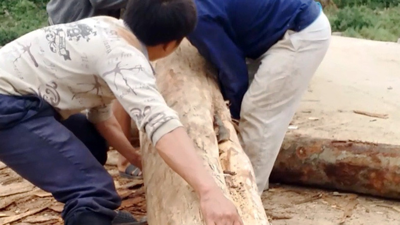 Đưa gỗ lên xe ô tô tải cạnh bờ suối Nậm Tha. Đưa gỗ lên xe ô tô tải cạnh bờ suối Nậm Tha.