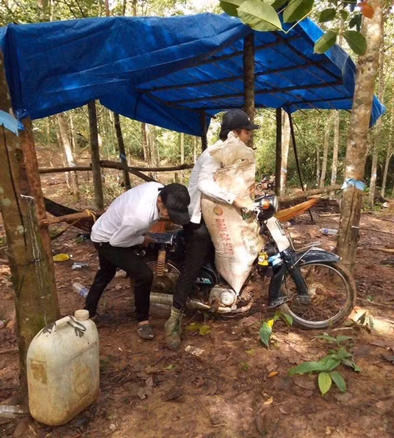 Những kẻ lạ mặt ngang nhiên cướp đoạt mủ cao su của vợ chồng anh Trần Đức Lý.