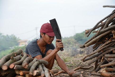 Củi sẽ được chặt thành khúc nhỏ, rồi chất thành đống ngay ngắn.