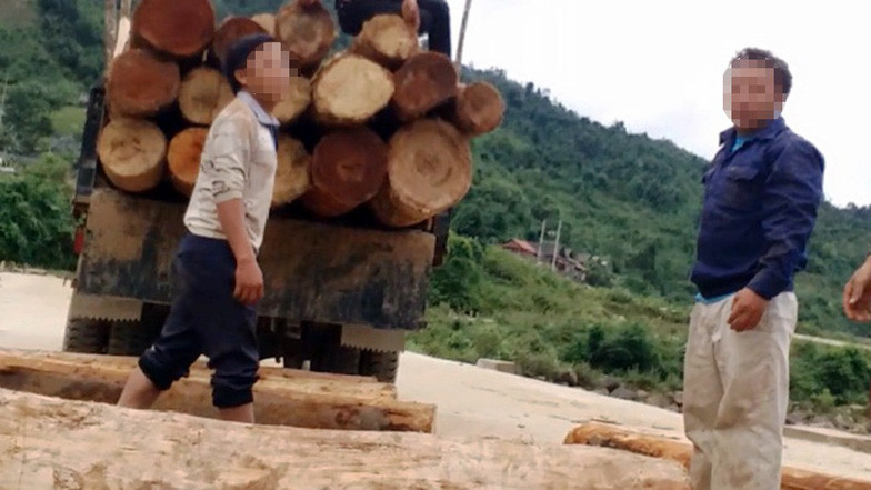 "Lâm tặc" đưa gỗ lên xe tải cạnh suối Nậm Tha - Ảnh cắt từ clipCưa cả cây to nhưng... chỉ lấy đoạn gốc! "Lâm tặc" đưa gỗ lên xe tải cạnh suối Nậm Tha - Ảnh cắt từ clipCưa cả cây to nhưng... chỉ lấy đoạn gốc!