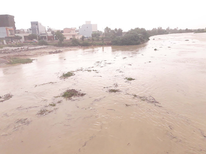 Nước lũ trên các sông ở tỉnh Bình Định đang rút dần.