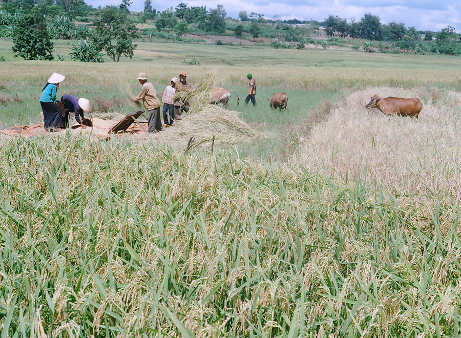 Công trình Thủy lợi Plei keo sẽ góp phần giúp đồng bào tại chỗ phát triển sản xuất hiệu quả. Ảnh: Lương Thanh  Công trình Thủy lợi Plei keo sẽ góp phần giúp đồng bào tại chỗ phát triển sản xuất hiệu quả. Ảnh: Lương Thanh