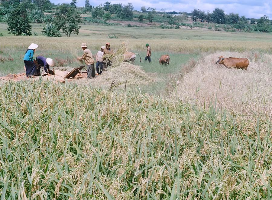  Công trình Thủy lợi Plei keo sẽ góp phần giúp đồng bào tại chỗ phát triển sản xuất hiệu quả. Ảnh: Lương Thanh