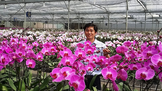 Phan Thanh Sang trong vườn lan hồ điệp của mình. Phan Thanh Sang trong vườn lan hồ điệp của mình.