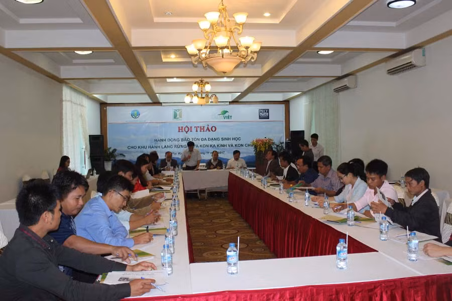 Ảnh: Nguyễn Diệp