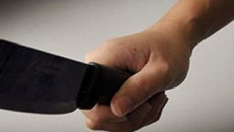 Ảnh minh họa (nguồn: internet)