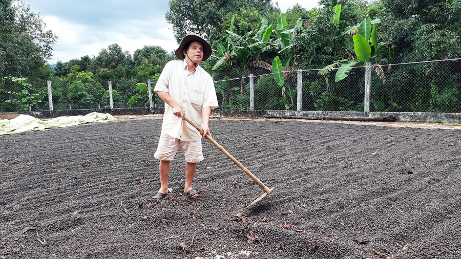 Dù bị khiếm thị nhưng ông Tư vẫn hăng say lao động. Ảnh: Mai Ka