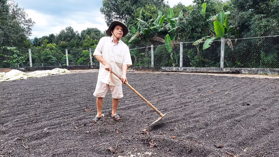 Dù bị khiếm thị nhưng ông Tư vẫn hăng say lao động. Ảnh: Mai Ka