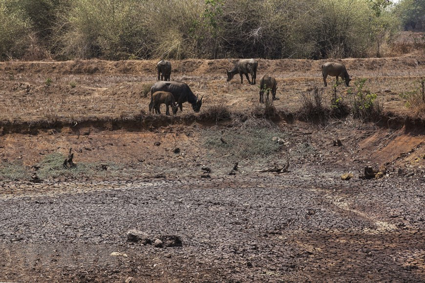  Trên địa bàn huyện Krông Ana, tình trạng thiếu nước đang diễn ra khốc liệt. Nguy cơ thiếu nước cho nông nghiệp và chăn nuôi là điều không thể tránh khỏi.