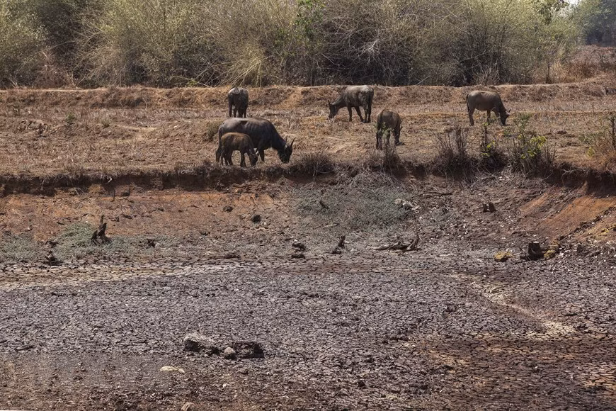  Trên địa bàn huyện Krông Ana, tình trạng thiếu nước đang diễn ra khốc liệt. Nguy cơ thiếu nước cho nông nghiệp và chăn nuôi là điều không thể tránh khỏi.