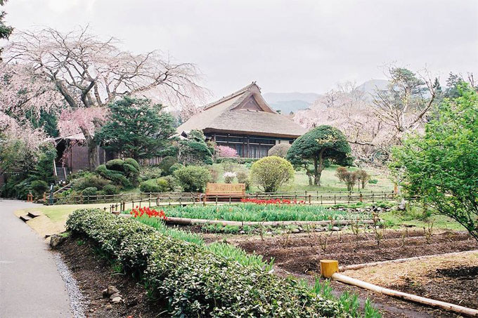 Khác với không gian nhộn nhịp của khu mua sắm chính là hình ảnh bình yên của công viên tưởng niệm Chichibu-nomiya. Điểm nổi bật của công viên là ngôi nhà 280 năm tuổi và một số gốc cây anh đào. Đó chính là biểu tượng văn hóa lớn của Nhật Bản. Ảnh: Skipps.