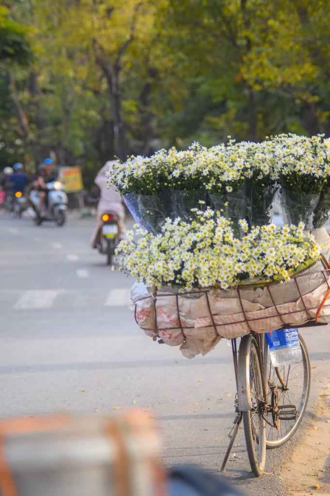 Các xe hoa đứng ở đầu Yên Phụ giao với Nghi Tàm từ 6h sáng. Đây là nơi dễ dàng mua hoa theo mùa nhất trong các con phố ở Hà Nội.