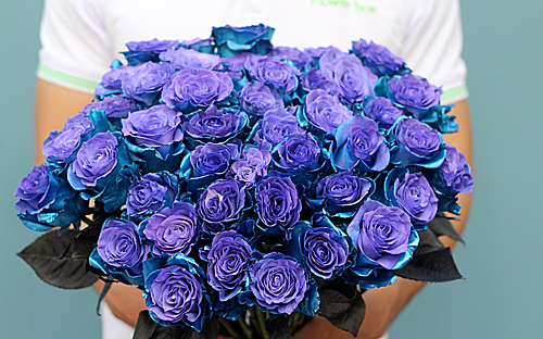 Hồng phủ 2 màu xanh tím Lazurite nhập từ Hà Lan khá đắt khách dịp 8/3. Ảnh: Flowerbox.