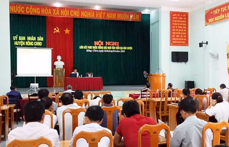 Ảnh: Phương Liên