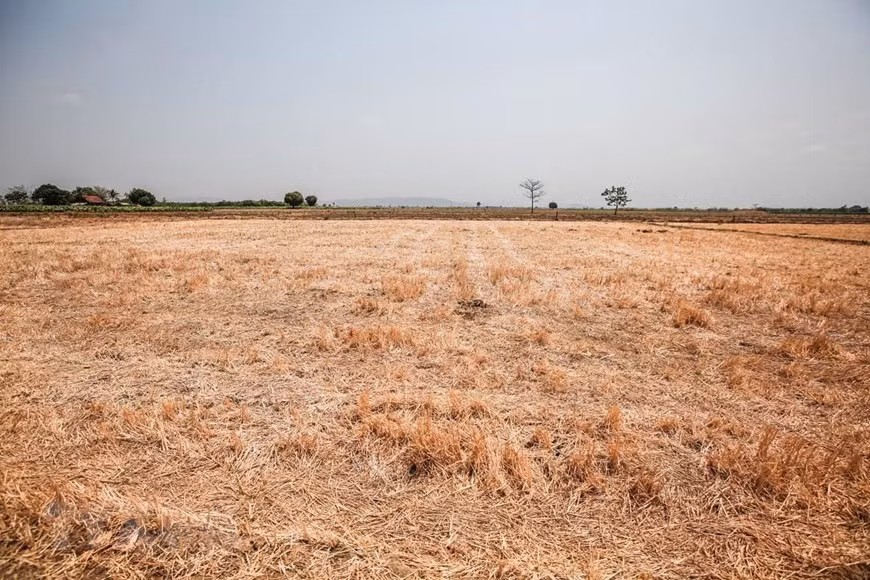 Trên khắp địa bàn Đắk Lắk, đâu đâu cũng chỉ một màu khô hạn và nắng cháy oi nồng