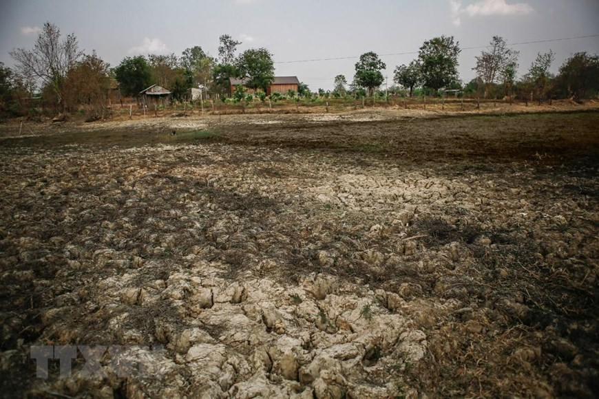 Nhiều hồ chứa nước ở huyện Buôn Đôn đã cạn kiệt bởi khô hạn kéo dài liên tục suốt mấy tháng qua.