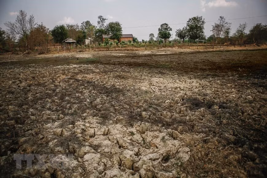 Nhiều hồ chứa nước ở huyện Buôn Đôn đã cạn kiệt bởi khô hạn kéo dài liên tục suốt mấy tháng qua.