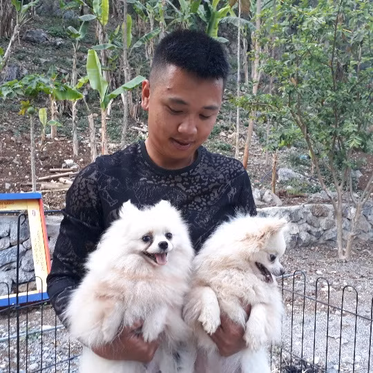  Mỗi con chó đều được Huy đặt cho một cái tên như: mèo, bông...