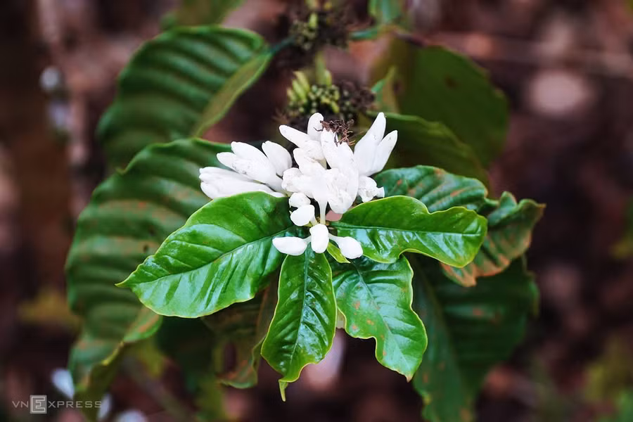  Sáng sớm là lúc lý tưởng để bạn khởi đầu hành trình 