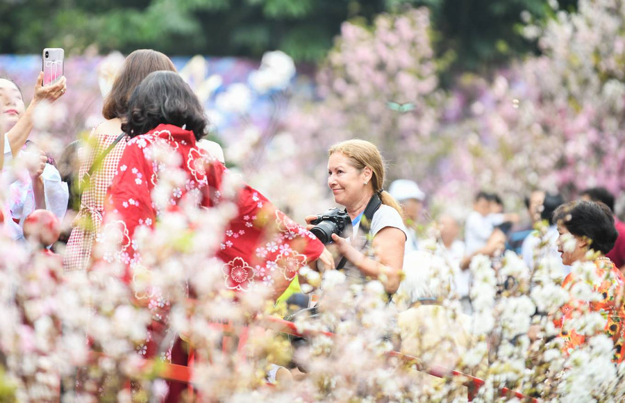 Sự kiện thu hút cả sự quan tâm của khách du lịch nước ngoài. Anna Kudinova, du khách Nga, cho biết cô cảm thấy một phần văn hóa Nhật Bản tại đây với hoa anh đào, ô giấy và những bộ trang phục truyền thống của người Nhật. “Không khí tại lễ hội thật tuyệt, dù rất đông nhưng trông ai cũng vui vẻ”, nữ du khách chia sẻ.