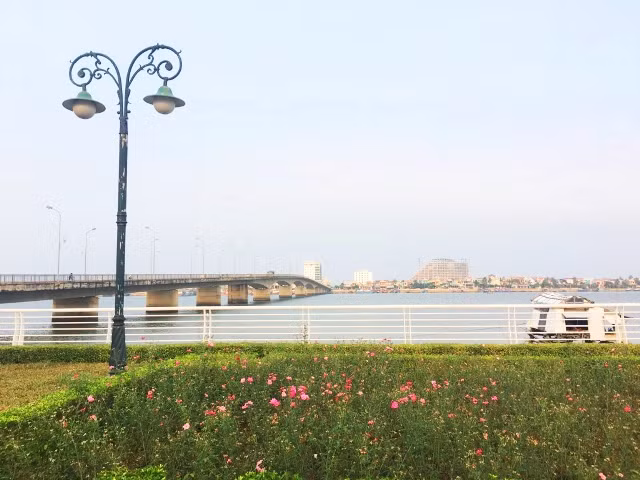  Hoa hồng nở bên dòng sông Nhật Lệ. Ảnh: AT