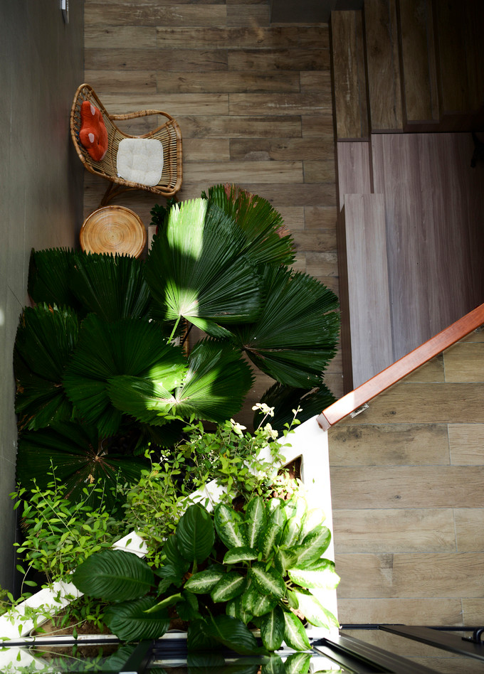 Cây nội thất xuất hiện khắp nơi, mang màu xanh vào trong không gian đồng thời giúp gia chủ gắn kết với thiên nhiên hơn. Cây nội thất xuất hiện khắp nơi, mang màu xanh vào trong không gian đồng thời giúp gia chủ gắn kết với thiên nhiên hơn.