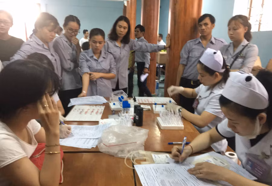 Quy trình lấy máu. Ảnh: Hồng Ngọc