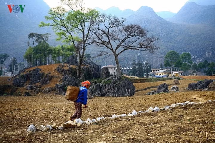  Cuộc sống của khoảng 250.000 con người thuộc 17 dân tộc nơi đây (mà 70% là người Mông) là cuộc sinh tồn với đá, với địa hình hiểm trở, khí hậu khắc nghiệt.