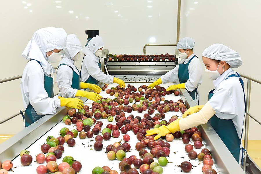  Sản phẩm nông sản của Gia Lai có cơ hội tiếp cận với thị trường thế giới qua thương mại điện tử. Ảnh: ĐỨC THỤY