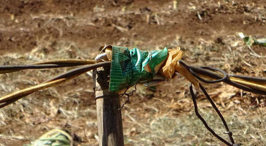 Điểm đấu nối tạm bợ dễ gây ra chập cháy. Ảnh: Hà Phương