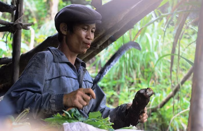 Anh Lang “thu hoạch” được chừng 5 kg khoai mì trước khi ra về - Ảnh: Trác Rin