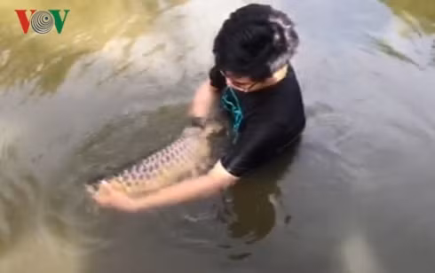  Trần Thanh Nghị với trang trại nuôi cá rồng sinh sản tại Trảng Bom, Đồng Nai