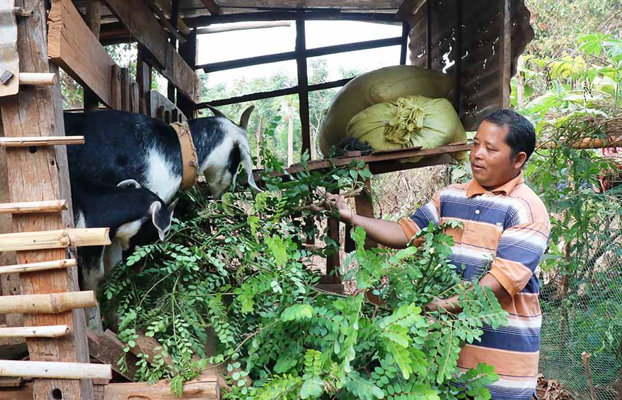 Sau khi tham gia học nghề, ông Rmah Đang (thôn Tao Chor B, xã Ia Hrú) biết thêm nhiều kinh nghiệm chăm sóc dê. Ảnh: N.H Sau khi tham gia học nghề, ông Rmah Đang (thôn Tao Chor B, xã Ia Hrú) biết thêm nhiều kinh nghiệm chăm sóc dê. Ảnh: N.H