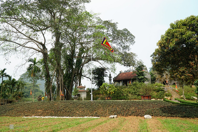  Đền Gối Đại thuộc xã Ninh Hải, huyện Hoa Lư, cách trung tâm thành phố Ninh Bình hơn 10 km. Người dân ở đây kể lại, Thắng Đại Vương được Đinh Tiên Hoàng giao cho trấn giữ cửa phía tây trong tứ trấn Hoa Lư xưa kia. Khi ông qua đời, nhà vua cho xây ngôi đền ngay dưới gốc đa để đời sau nhớ đến công lao của ông. Phần giới thiệu được đặt trước đền có ghi: 