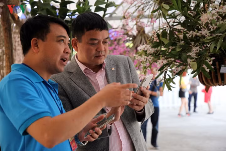 Chỉ tính riêng trong đợt triển lãm hoa lan này, địa phương đã đón khoảng 2.000 du khách từ khắp các tỉnh, thành phố trong cả nước