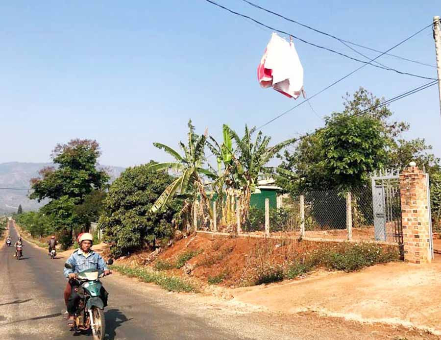 Ảnh: Trần Dung