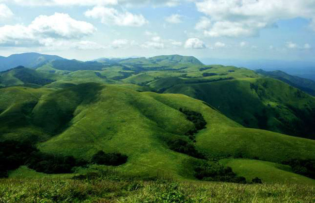  Coorg, Karataka: Còn được gọi là Scotland của Ấn Độ, Coorg là một trạm đồi tuyệt đẹp ở miền nam Ấn Độ. Với rừng gỗ tếch và gỗ đàn hương tươi tốt, Coorg còn cóThác Abbey, Pháo đài Madikeri, Trại voi Dubare và đền Omkareshwara. 
