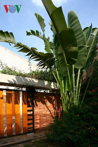 Và theo logic ấy, ngôi nhà của họ cũng có sân vườn và đó là điểm ưa thích nhất của gia chủ. Và theo logic ấy, ngôi nhà của họ cũng có sân vườn và đó là điểm ưa thích nhất của gia chủ.