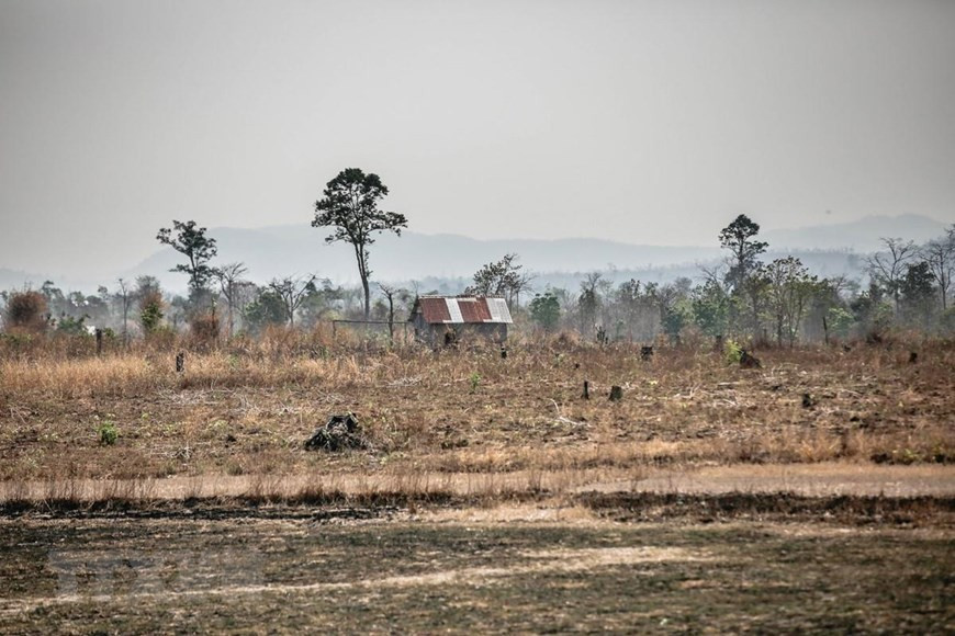  Trên địa bàn các huyện Ea Súp, Ea Kar, Krông Bông, Krông Păk, Cư M gar, Buôn Đôn, Krông Ana, đâu đâu cũng chỉ một màu khô hạn và nắng cháy oi nồng.
