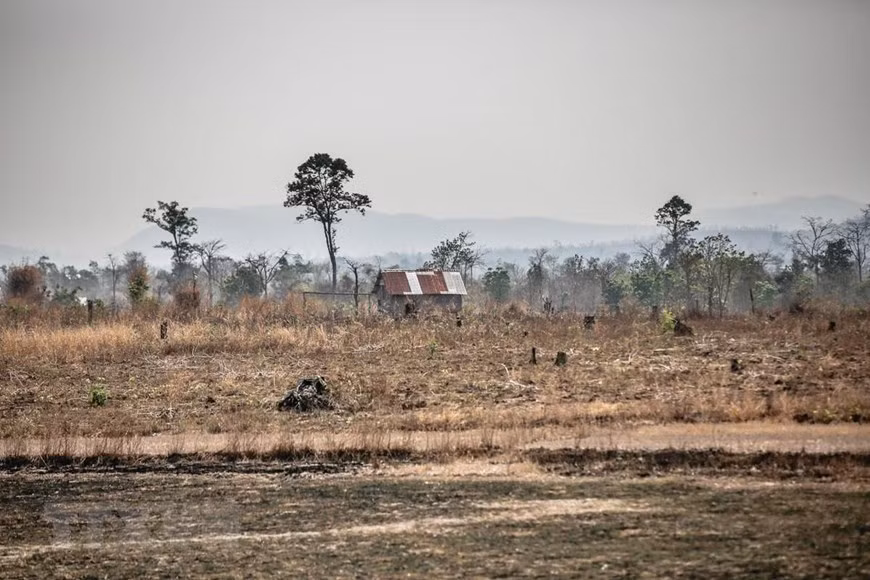  Trên địa bàn các huyện Ea Súp, Ea Kar, Krông Bông, Krông Păk, Cư M gar, Buôn Đôn, Krông Ana, đâu đâu cũng chỉ một màu khô hạn và nắng cháy oi nồng.