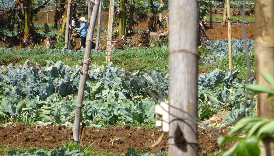 Các cấp, ngành cần hướng dẫn cho bà con sử dụng điện sản xuất an toàn tránh điều đáng tiếc xảy ra. Ảnh: Hà Phương