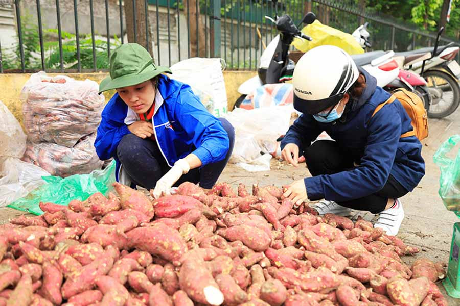  Điểm hỗ trợ bán khoai lang giúp người dân Phú Thiện được các tình nguyện viên mở từ vài ngày trước. Ảnh: K.N.BĐiểm hỗ trợ bán khoai lang giúp người dân Phú Thiện được các tình nguyện viên mở từ vài ngày trước. Ảnh: i