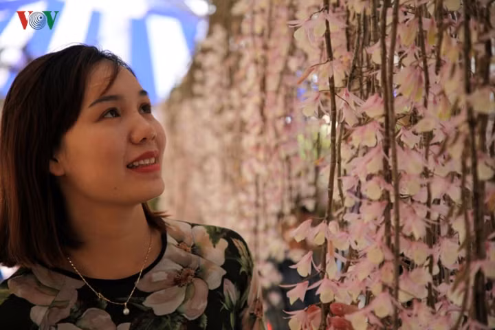  Theo các chủ trại lan ở Lai Châu, giá của mỗi giò lan phụ thuộc vào ý thích của người chơi và có giò lên đến hàng trăm triệu đồng