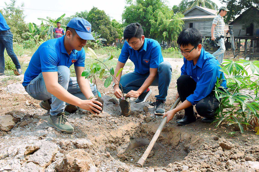 Các chiến sĩ tình nguyện Kỳ nghỉ hồng đã tham gia trồng cây cho các gia đình khó khăn. Ảnh: Đức Thụy
