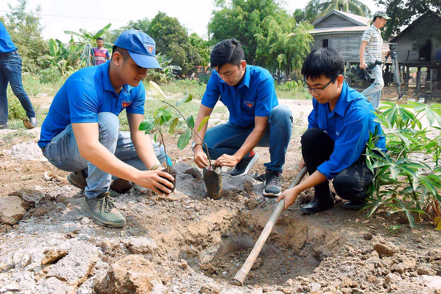 Các chiến sĩ tình nguyện Kỳ nghỉ hồng đã tham gia trồng cây cho các gia đình khó khăn. Ảnh: Đức Thụy